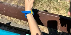 Guest photo from review