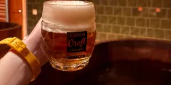 Guest photo from review