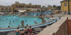 Guest photo from review